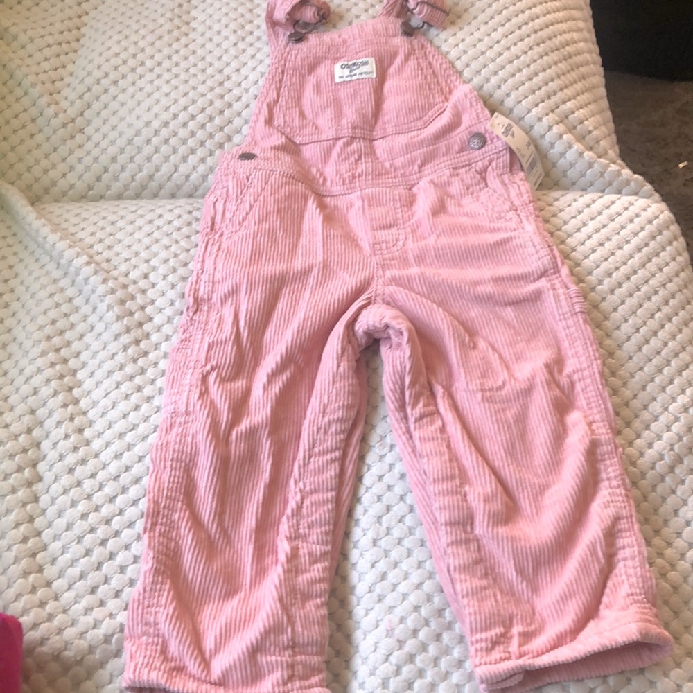 OSH Kosh sweet subtle pink thick cotton lined overalls snaps in legs 24m NWT